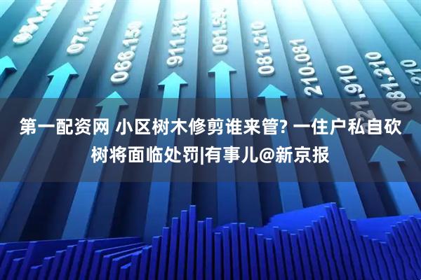 第一配资网 小区树木修剪谁来管? 一住户私自砍树将面临处罚|有事儿@新京报