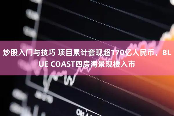 炒股入门与技巧 项目累计套现超170亿人民币，BLUE COAST四房海景现楼入市