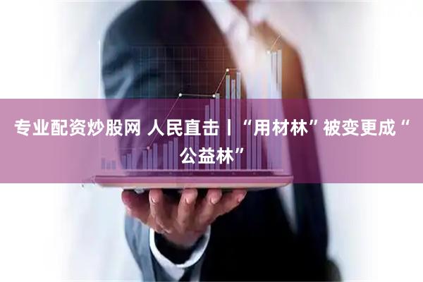 专业配资炒股网 人民直击丨“用材林”被变更成“公益林”